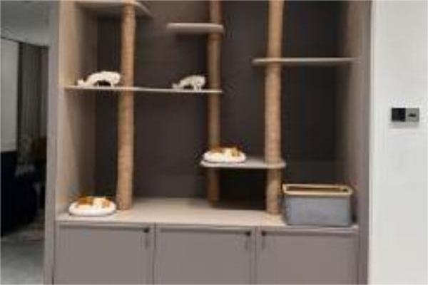 Dlaczego materiał PET jest najlepszy do szafki dla zwierząt domowych?